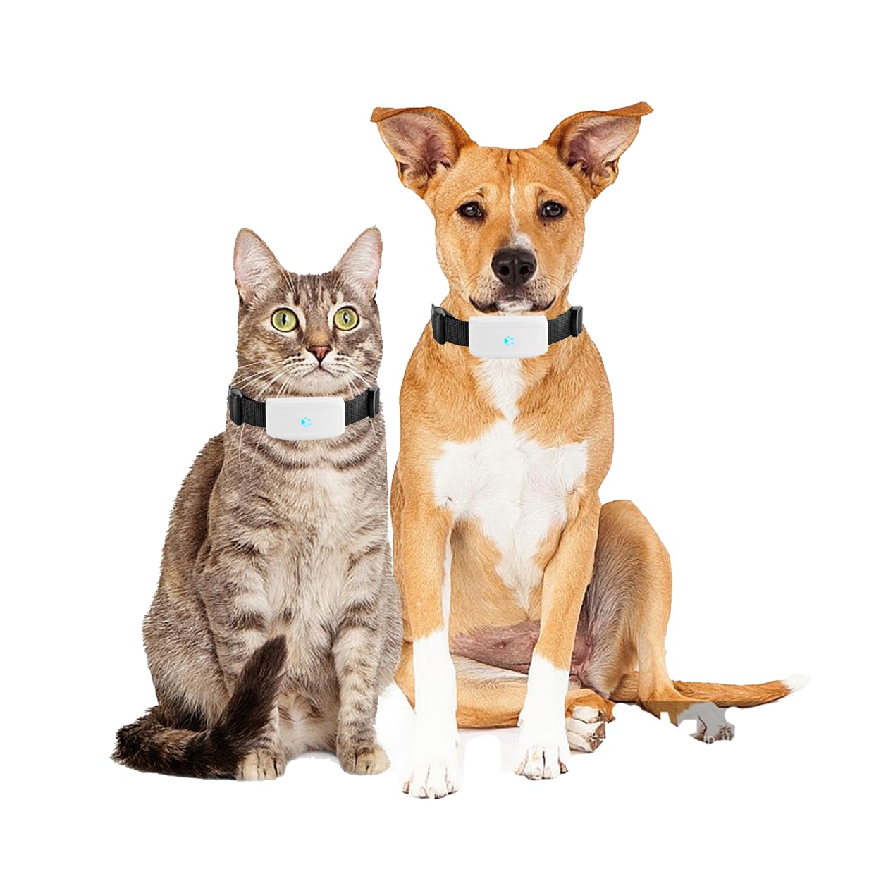 Localizador para Mascotas